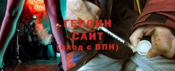 индика Арсеньев