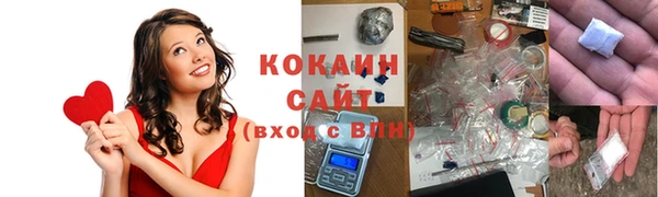 индика Арсеньев