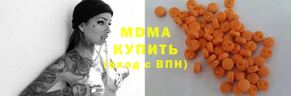 индика Арсеньев