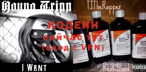 индика Арсеньев
