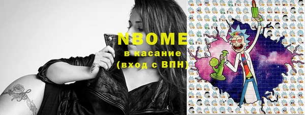 индика Арсеньев