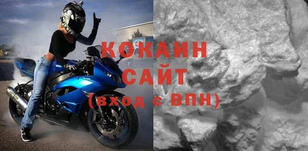 индика Арсеньев
