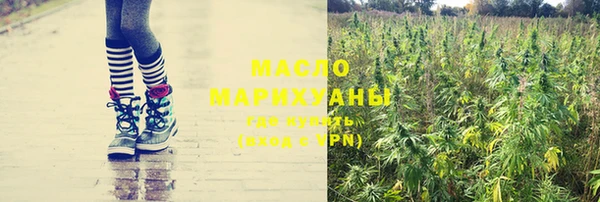 индика Арсеньев