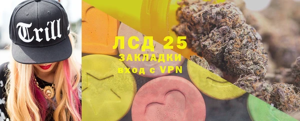 индика Арсеньев